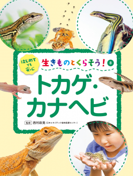 ⑧トカゲ・カナヘビ