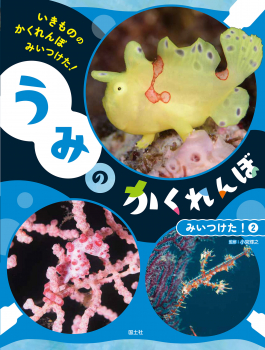 うみの かくれんぼ みいつけた!②