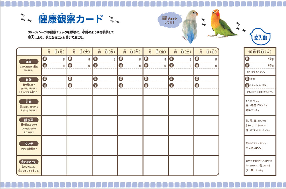 ②小鳥（前見返しカラー）