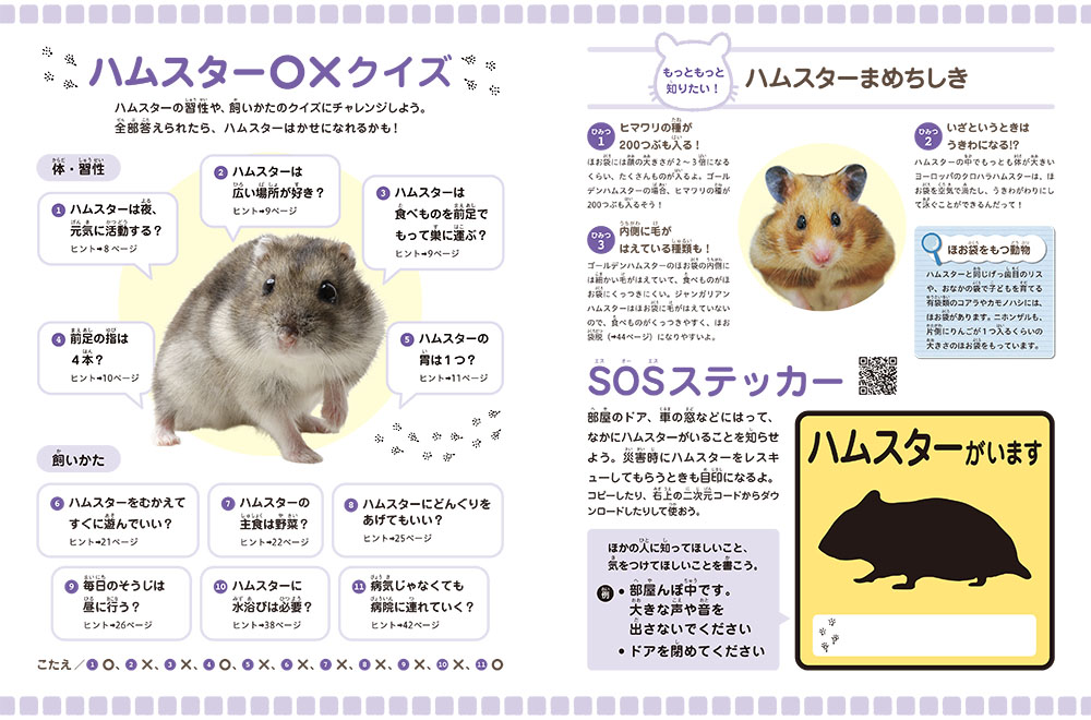 ⑦ハムスター（ハムスター〇×クイズ・SOSステッカー：カラー）