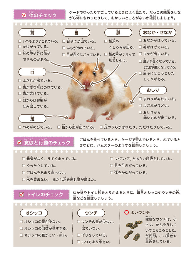⑦ハムスター（健康チェック：カラー）