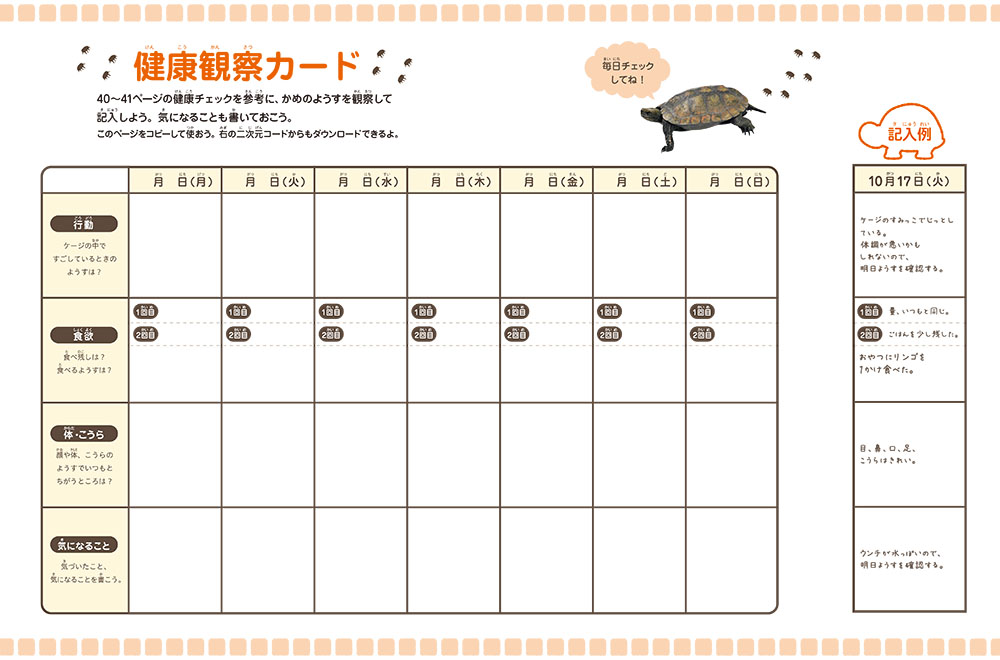 ⑨かめ（前見返しカラー）