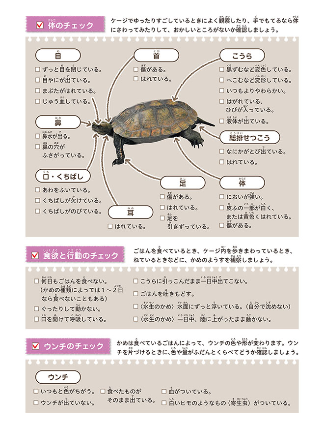 ⑨かめ（健康チェック：カラー）