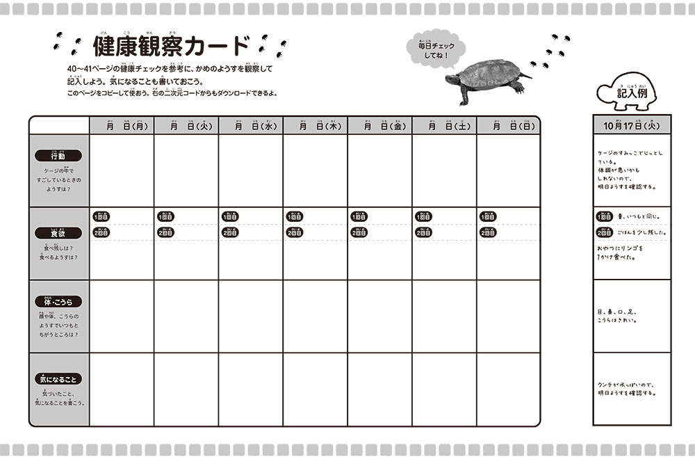 ⑨かめ（前見返しモノクロ）