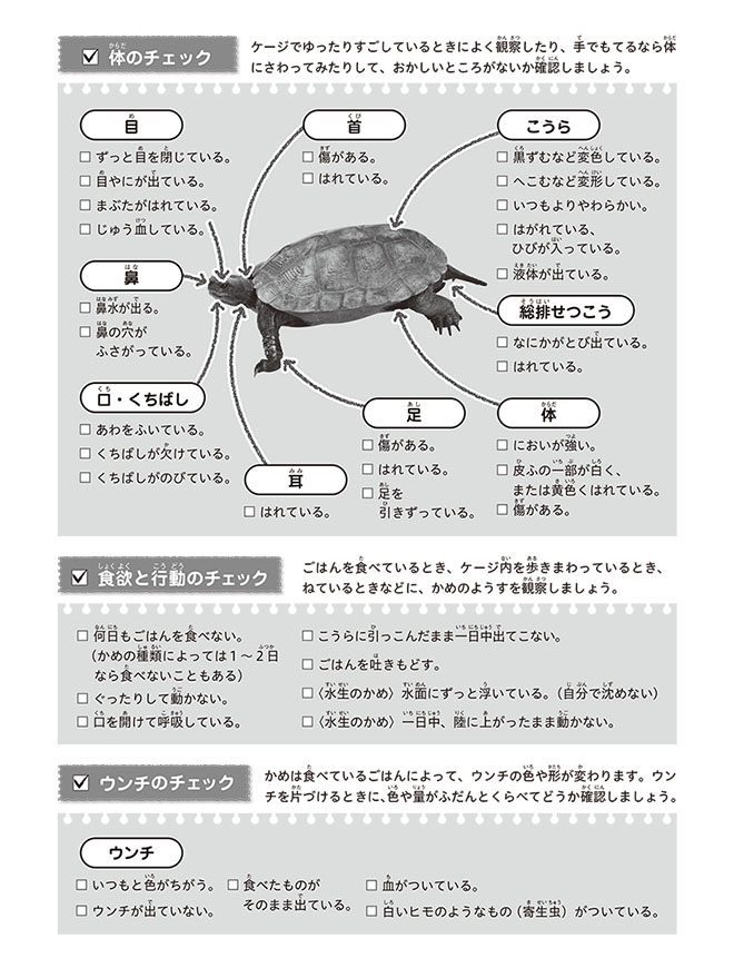 ⑨かめ（健康チェック：モノクロ）