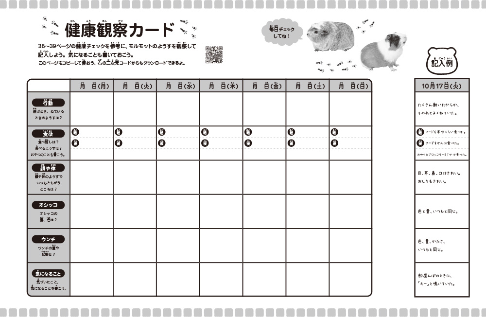 ⑤モルモット（前見返しモノクロ）