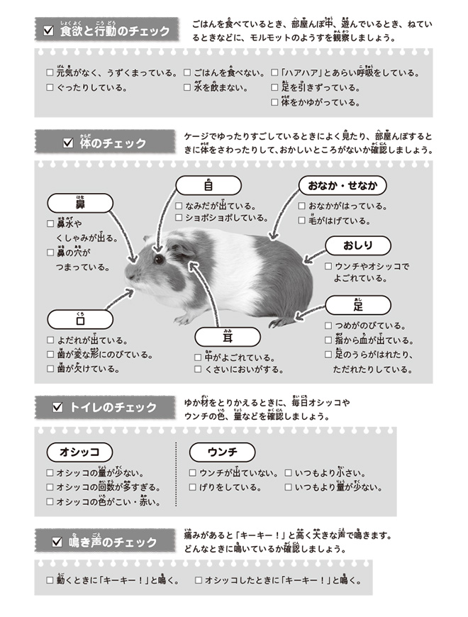 ⑤モルモット（健康チェック：モノクロ）