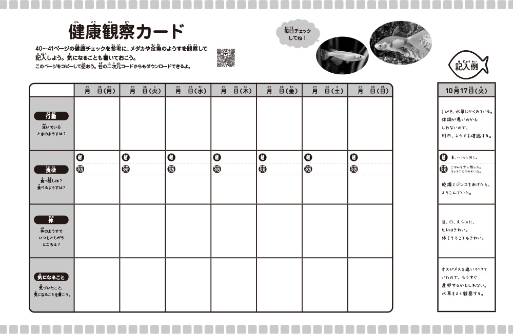 ⑥メダカ・金魚（前見返しモノクロ）