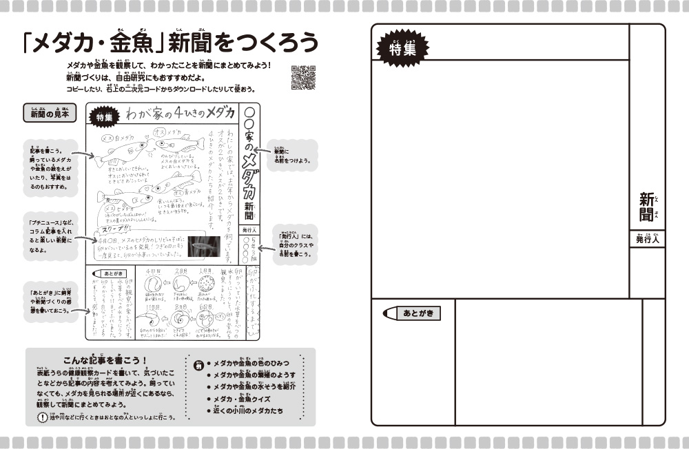 ⑥メダカ・金魚（「メダカ・金魚」新聞をつくろう：モノクロ）