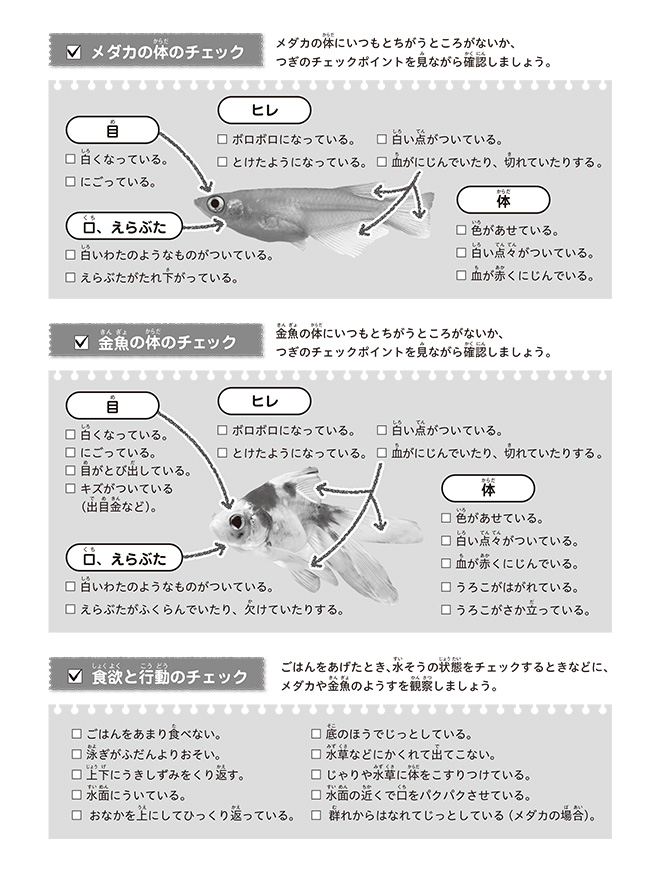 ⑥メダカ・金魚（健康チェック：モノクロ）