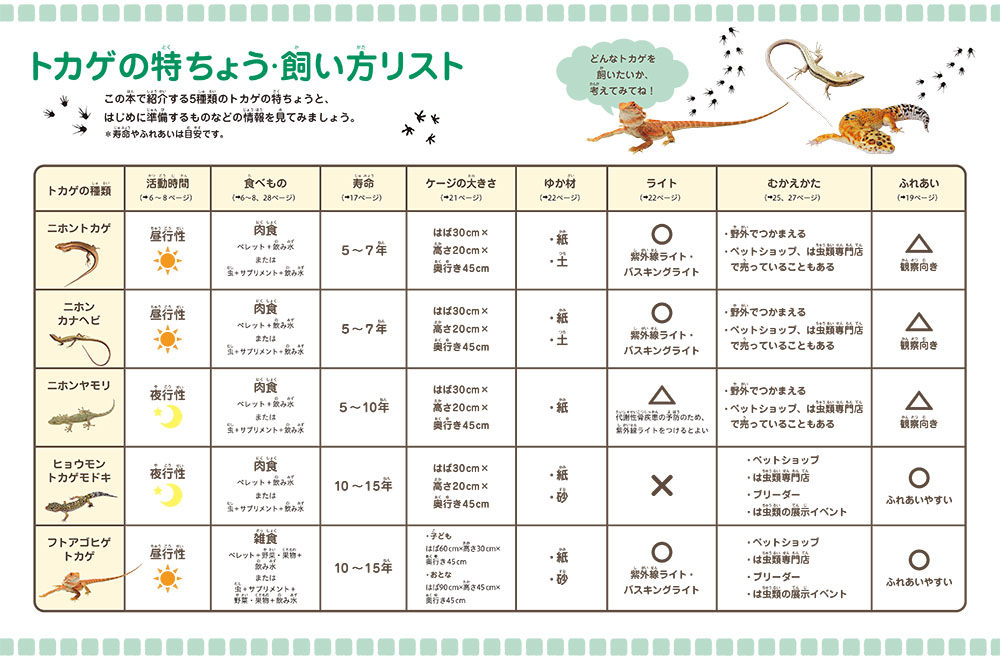 ⑧トカゲ・カナヘビ（前見返しカラー）