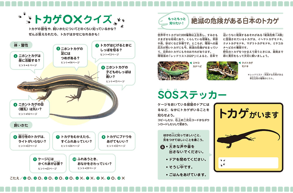 ⑧トカゲ（トカゲ〇×クイズ・SOSステッカー：カラー）