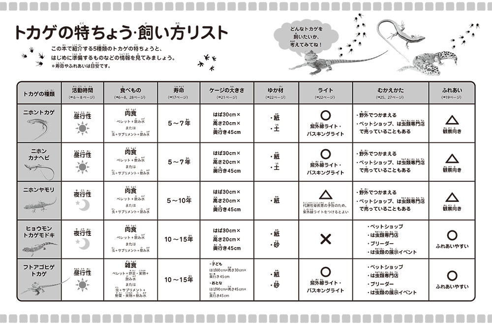 ⑧トカゲ・カナヘビ（前見返しモノクロ）
