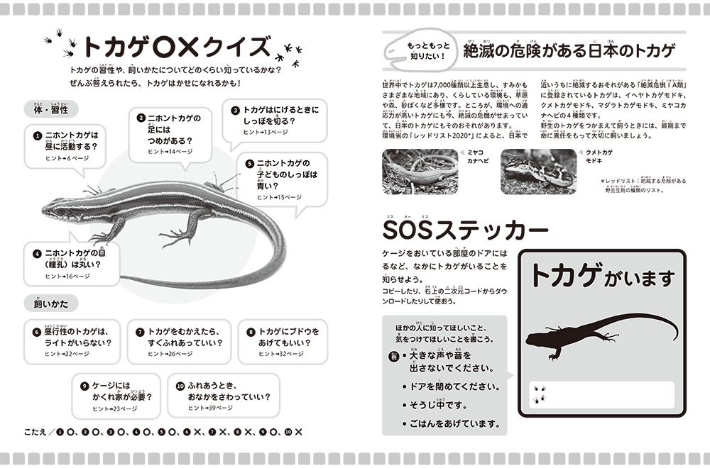 ⑧トカゲ・カナヘビ（トカゲ〇×クイズ・SOSステッカー：モノクロ）