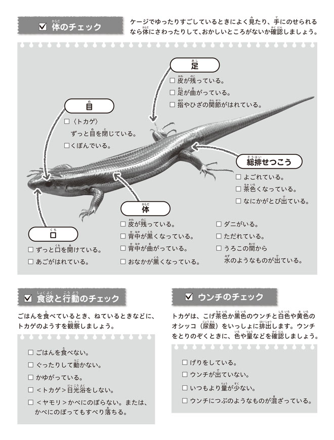 ⑧トカゲ・カナヘビ（健康チェック：モノクロ）